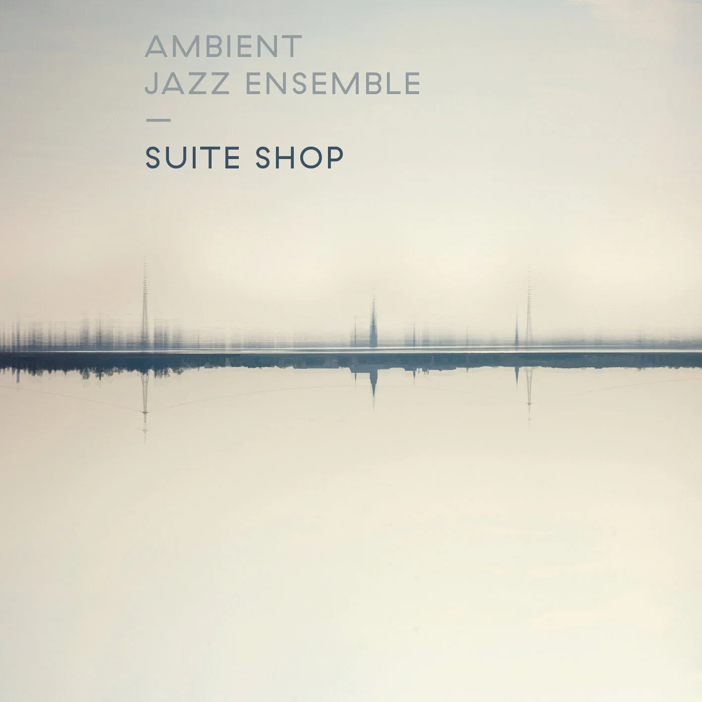 AJE - Suite Shop artwork